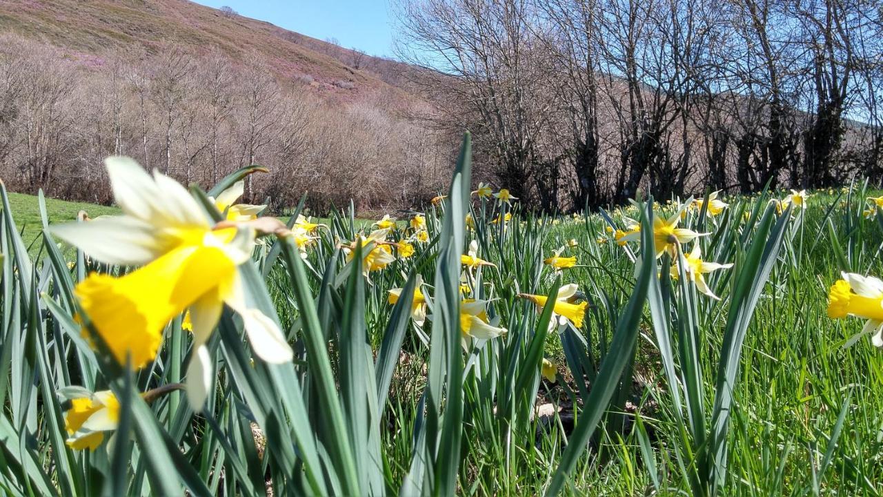 Casa Turismo Rural O Filandon Suertes Kültér fotó